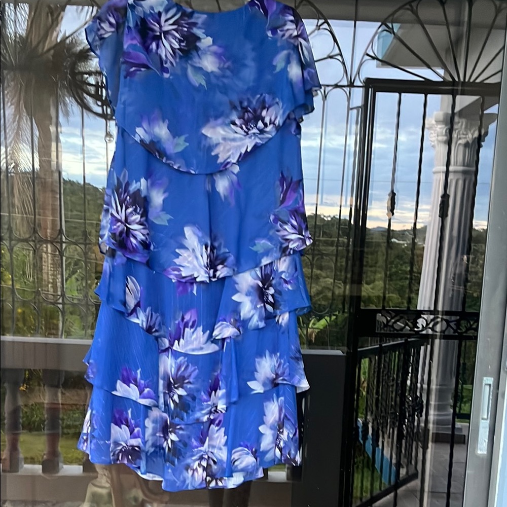 Blue Floral Ruffle Dress - Picture 3 of 3